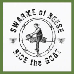 artwork Swarme of Beese interview