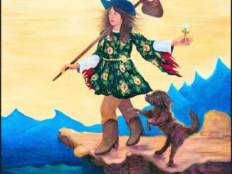 Album artwork for The Fool by Embla and the Karldotters